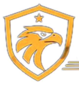 NightPatrolX shield logo